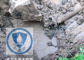 咸宁水管漏水检测公司5